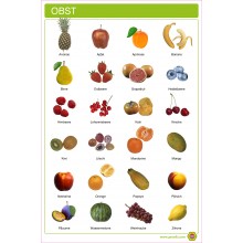 Obst - Plakat 50 x 100 cm - Deutsch