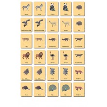 Continent box - Animals