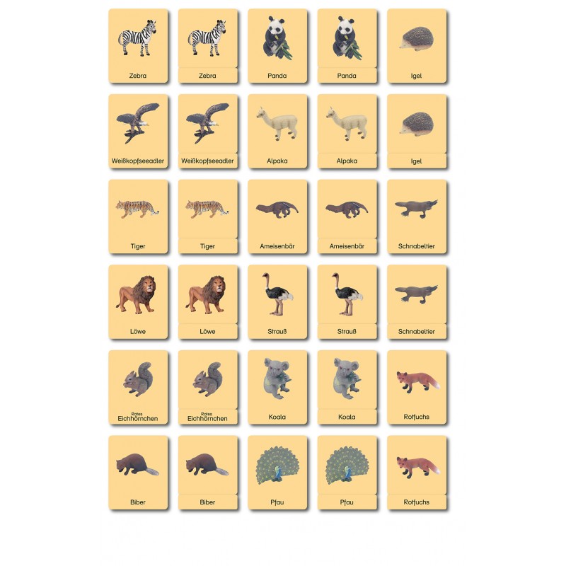 Continent box - Animals