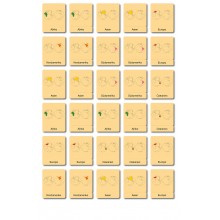 Continent box - Animals