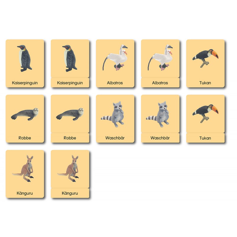 Continent box - Animals