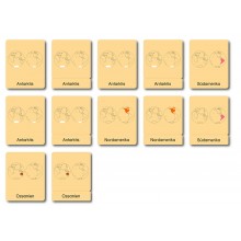 Continent box - Animals