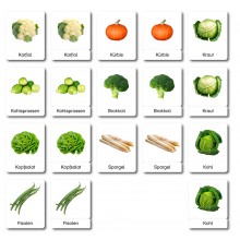 copy of Geometrische Formen - Klassifikationskarten - Englisch