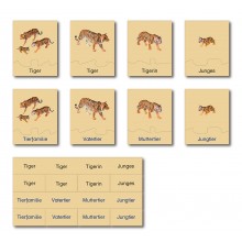 animal family - tiger - German