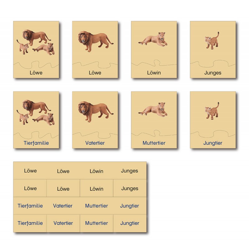 animal family - lion - German animal family - lion - German