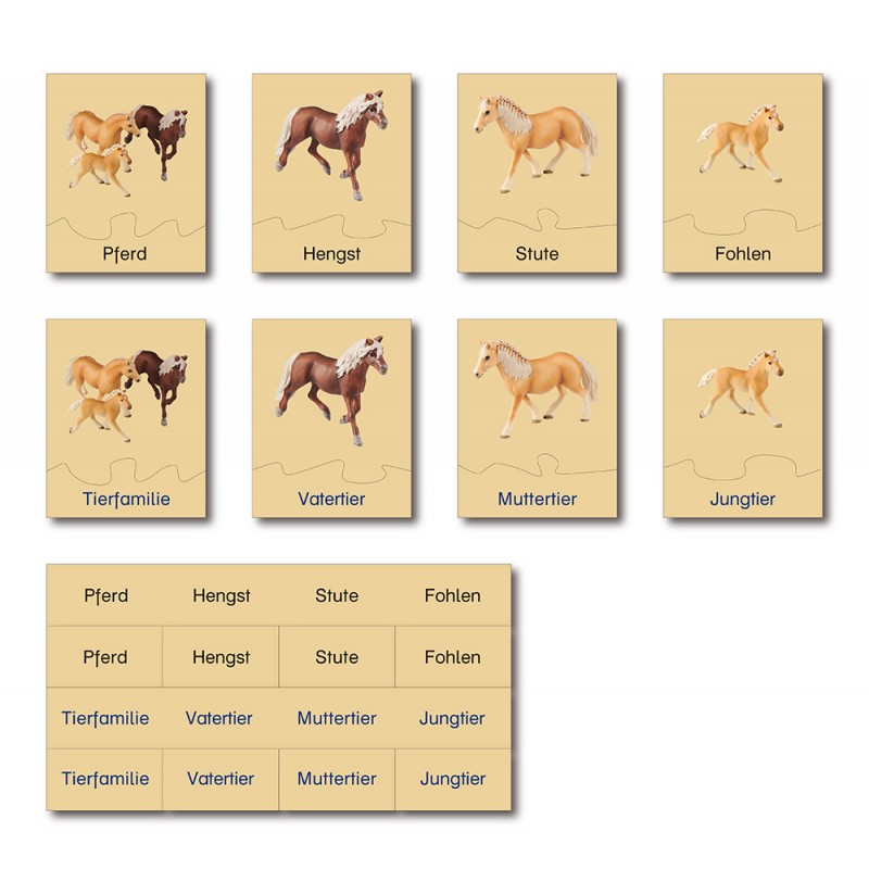 Tierfamilie - Pferd - Deutsch Tierfamilie - Pferd - Deutsch