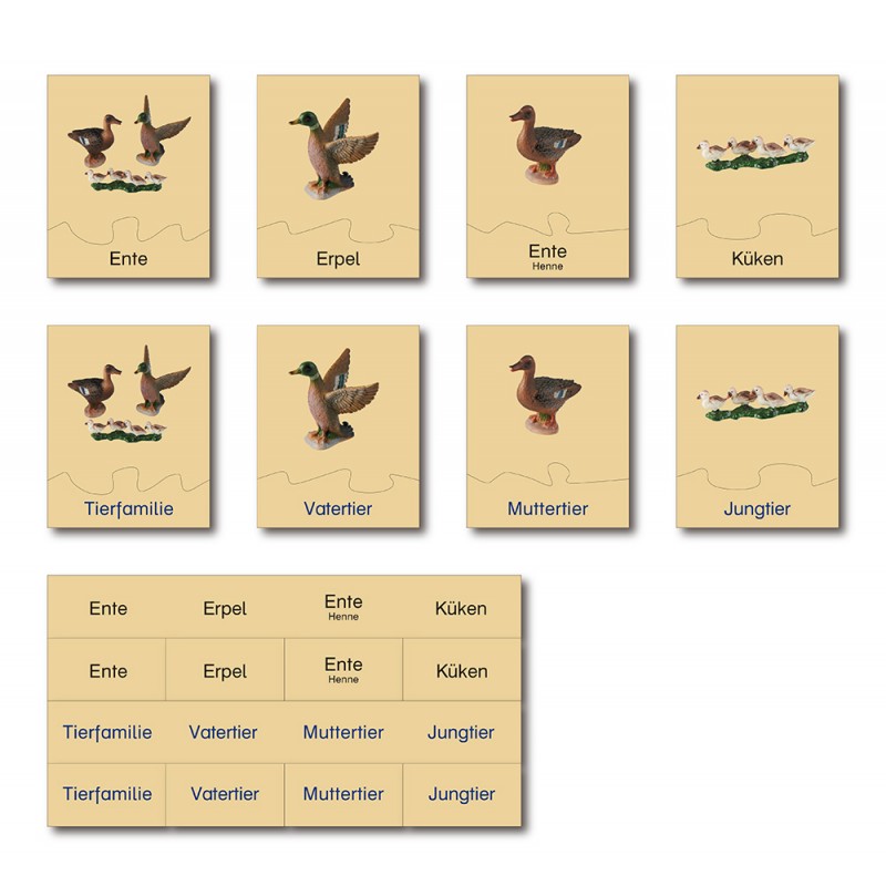 Tierfamilie - Ente - Deutsch Tierfamilie - Ente - Deutsch