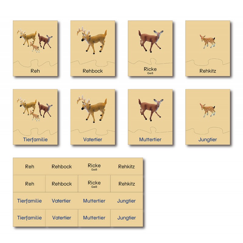 copy of Tierfamilie - Kuh - Englisch copy of Tierfamilie - Kuh - Englisch