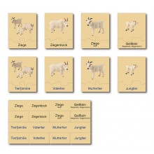 animal family - goat - German