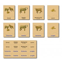 animal family - sheep - German