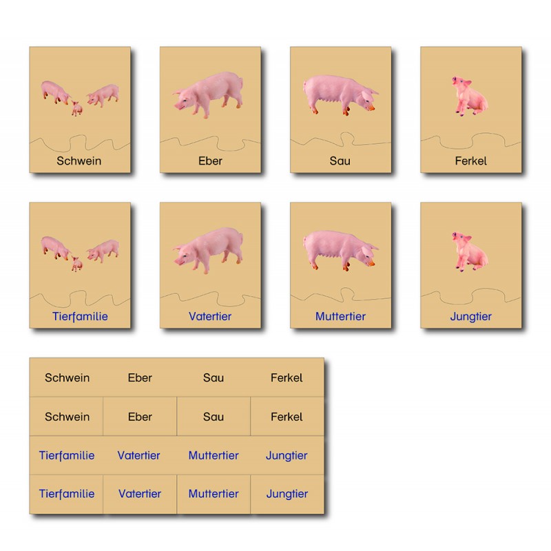 Tierfamilie - Schwein - Deutsch Tierfamilie - Schwein - Deutsch