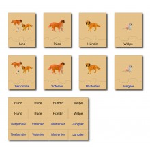 animal family - dog - German