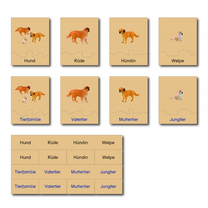 copy of Tierfamilie - Kuh - Englisch copy of Tierfamilie - Kuh - Englisch