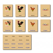 animal family - chicken - German