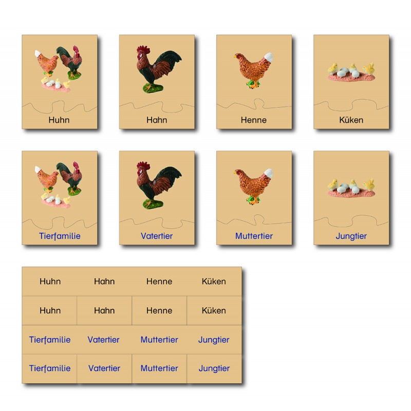 animal family - chicken - German animal family - chicken - German