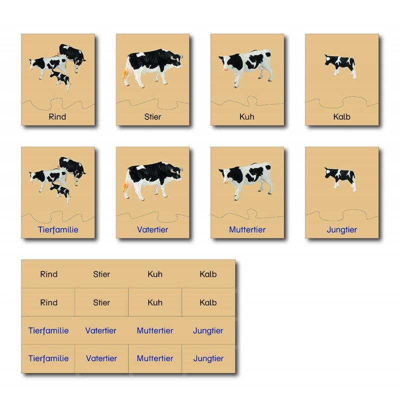 copy of Tierfamilie - Kuh - Englisch copy of Tierfamilie - Kuh - Englisch