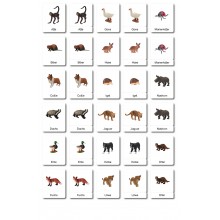 copy of Geometrische Formen - Klassifikationskarten - Englisch