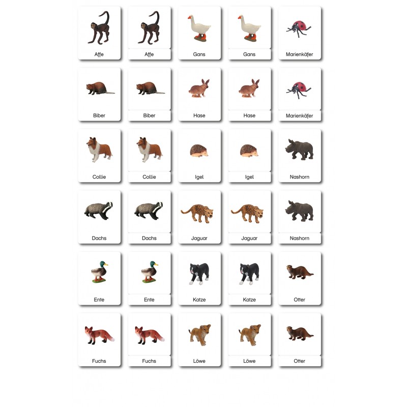 ABC Animals - Classification Cards - German