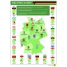 Deutschland - Plakat 50 x 70 cm - Deutsch - grün Deutschland - Plakat 50 x 70 cm - Deutsch - grün