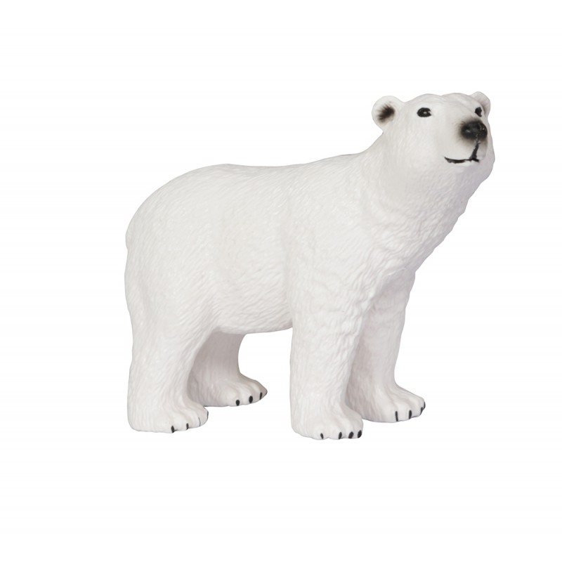 Animals from polar regions