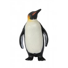 Animals from polar regions