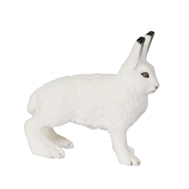 Animals from polar regions