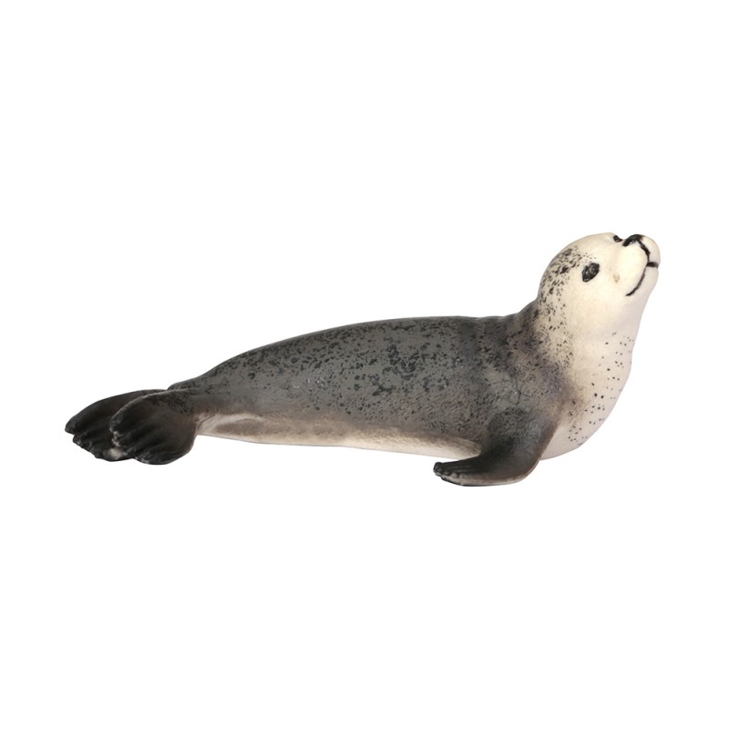 Tiere aus Polarregionen Tiere aus Polarregionen