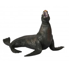 Animals of the Oceans
