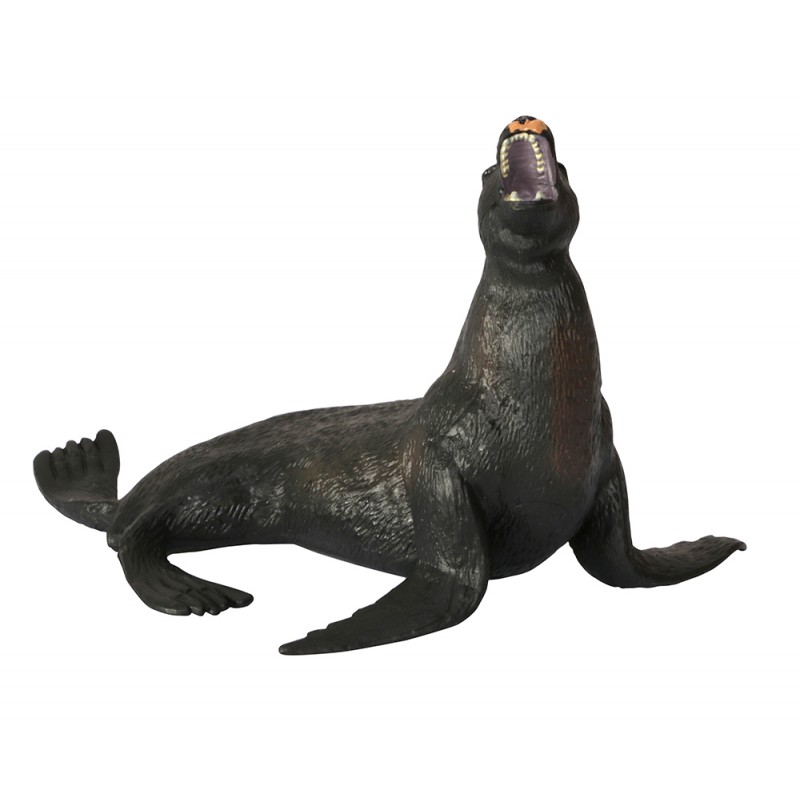 Animals of the Oceans