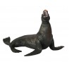 Animals of the Oceans