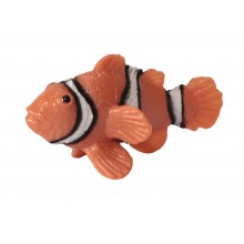 Zvieratá oceánov