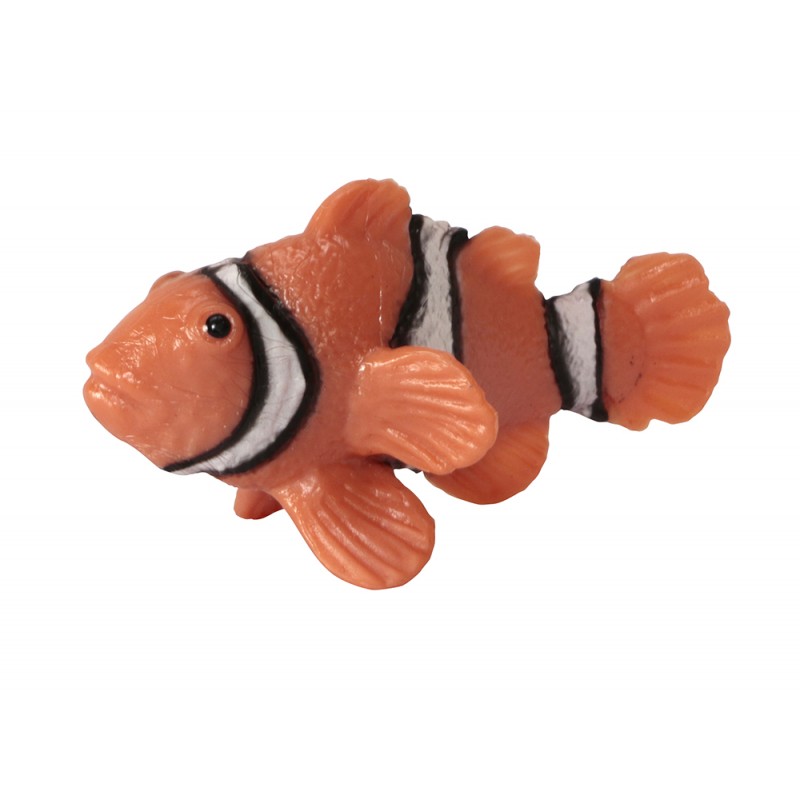 Zvieratá oceánov