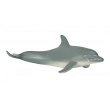 copy of Tiere aus der Polarregion