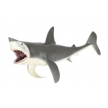 copy of Tiere aus der Polarregion