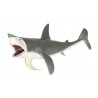Animals of the Oceans