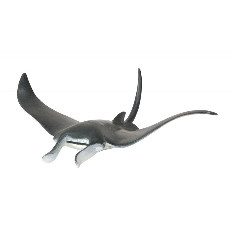 Animals of the Oceans