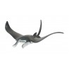 Animals of the Oceans