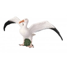 copy of Tiere aus der Polarregion