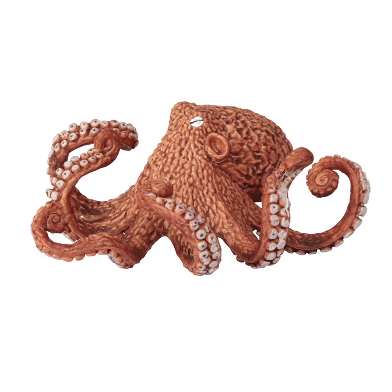 Animals of the Oceans