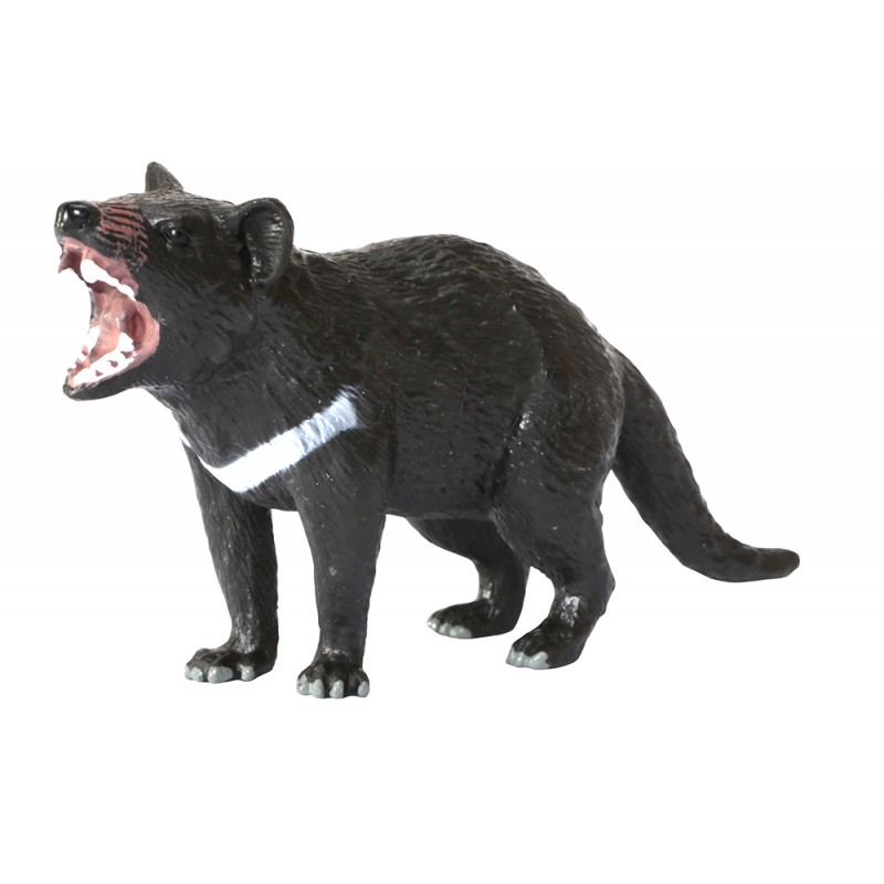 Animals from Australia