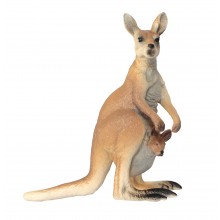 Zvieratá z Austrálie