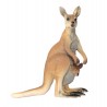 Animals from Australia