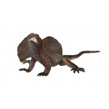 Animals from Australia
