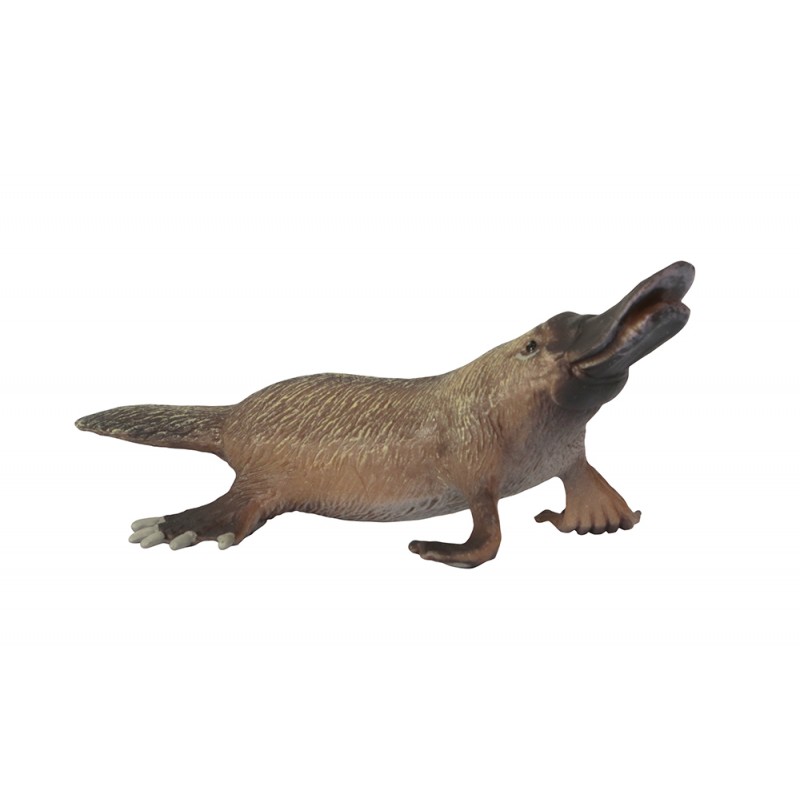 Animals from Australia