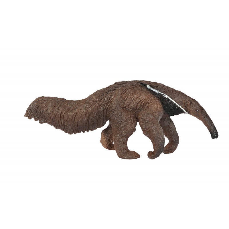 Animals from South America