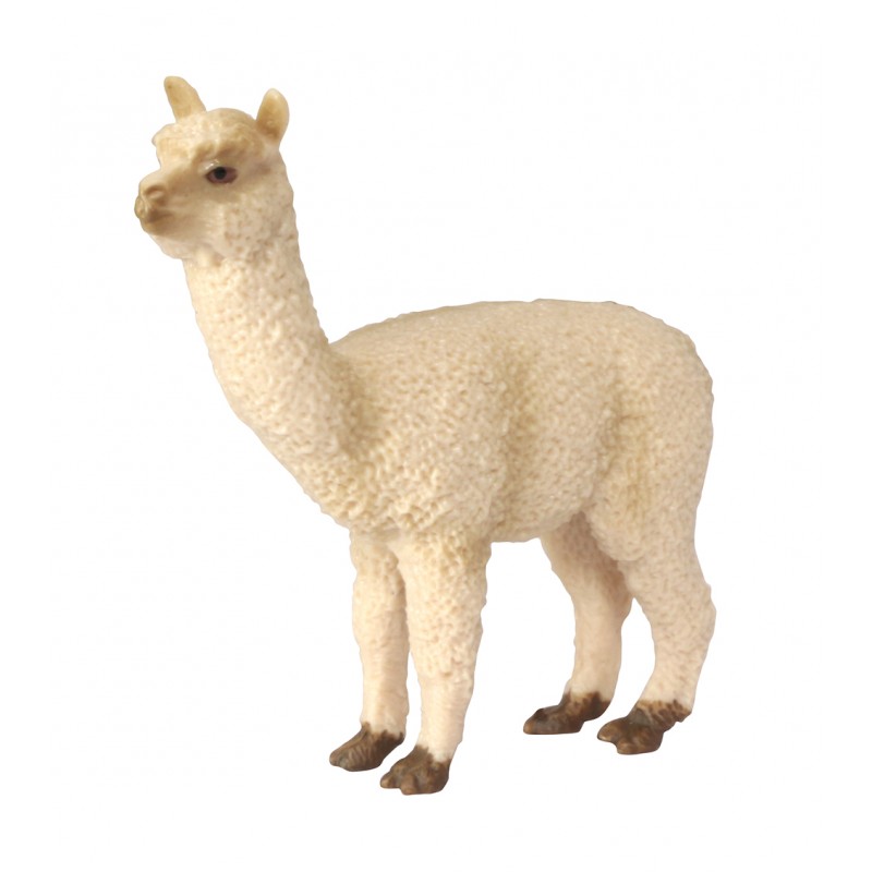 Animals from South America