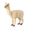 Animals from South America