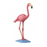 Animals from South America