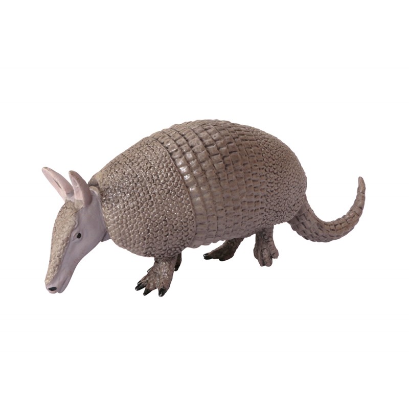Animals from South America