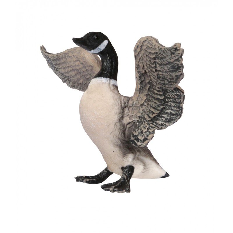 Tiere aus Nordamerika Tiere aus Nordamerika